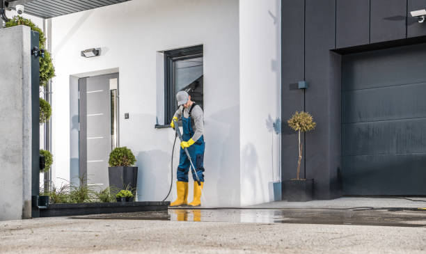 Best House Exterior Washing  in Lyles, TN
